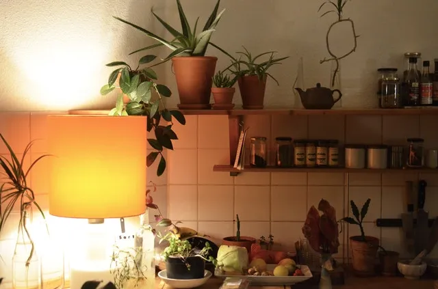 Energooszczędne lampy CFL